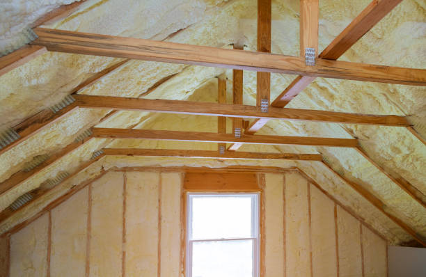Best Insulation Installation Services in Roseau, MN