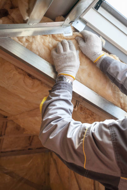 Best Energy Efficiency Solutions in Roseau, MN