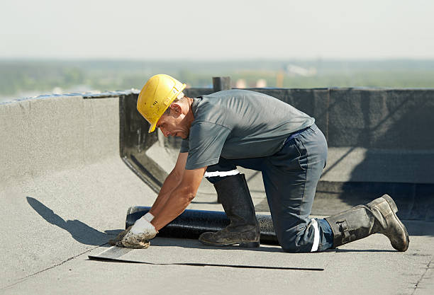 Professional Insulation Contractor in MN