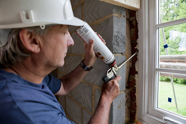 Best Residential Insulation in Roseau, MN
