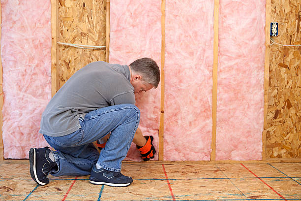 Best Insulation Installation Services in Roseau, MN